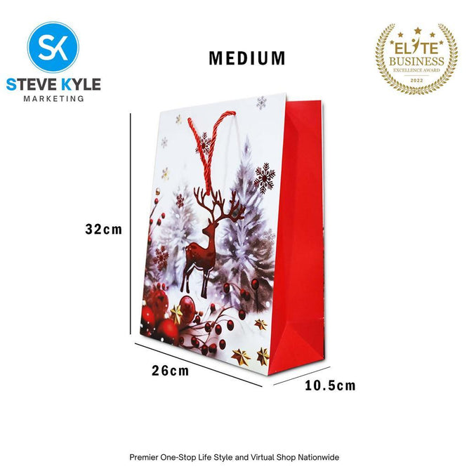 Steve Kyle Random Design Christmas Craft Paper Gift Bag with Twisted Rope Handle for Holiday Gifts Party Favors