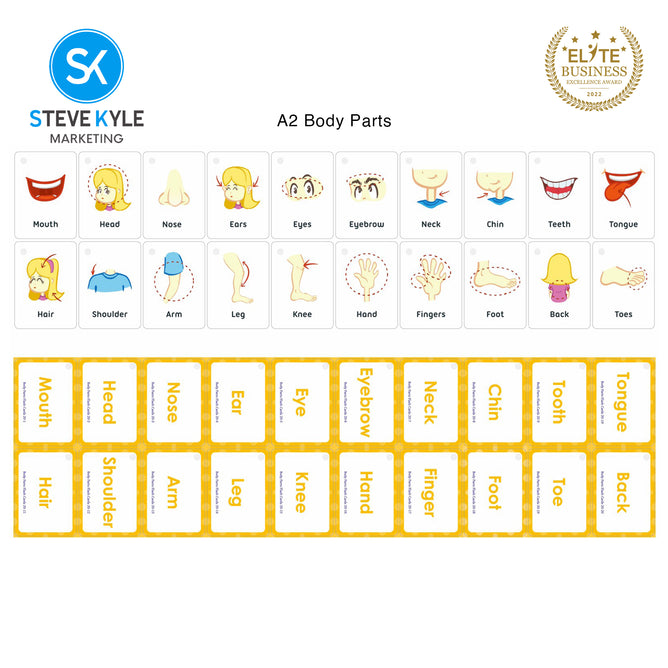 Steve Kyle Early Educational Flash Cards Alphabet English Math Slight Word Phonics Memory Game Card For Children