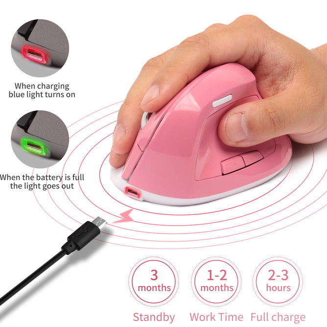 BW883 Ergonomic Optical Vertical Charging Wireless Mouse