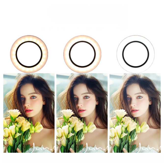 20cm Ring Light with Mini Tripod and Phone Holder Selfie LED Ring Light Photo Studio Light With Tripod Stand & Phone Holder Set for Live streaming Zoom Conference Tiktok Dimmable 3 Colors Ring Light (Vlog)