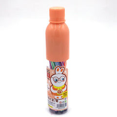 12 Color Marker Pens with Bottle Case For Artistic Kids Coloring (Random Color)