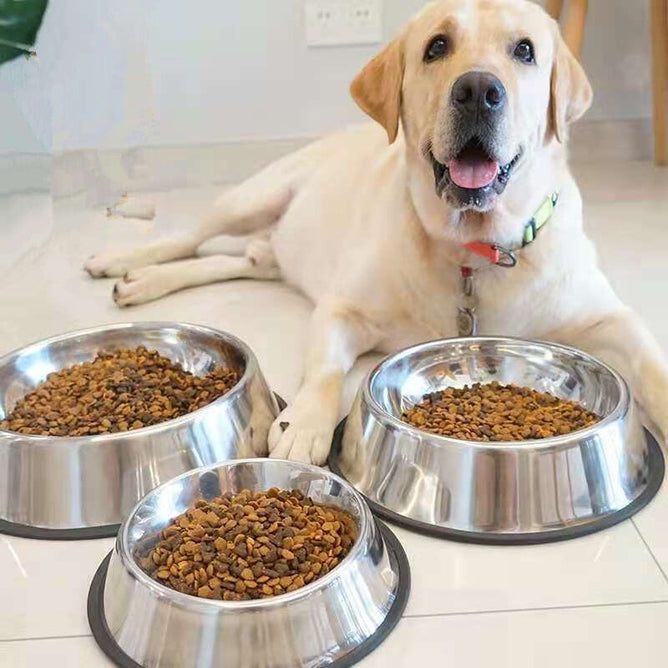16cm Stainless Steel Dog Bowl Feeding with Anti-Slip Coil for Pets