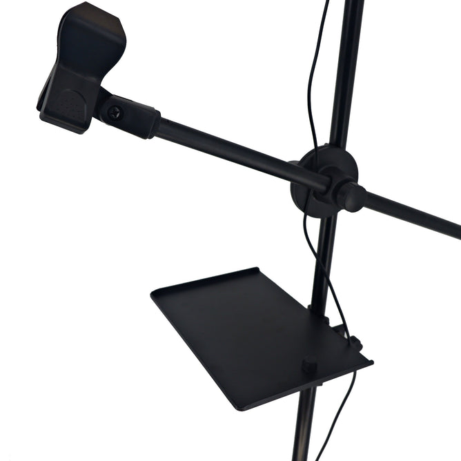 K10-120DZ 4 in 1 Ringlight with Microphone Stand, Card Tray and 2 Phone Holder