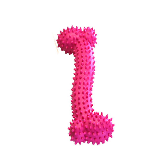 Interactive Pet Chew Toys for Small Dog Resistant to Bite Teeth Training Rubber Toys