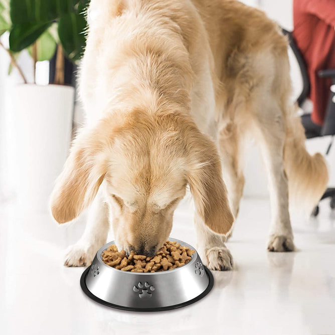 16cm Stainless Steel Dog Bowl Feeding with Anti-Slip Coil for Pets