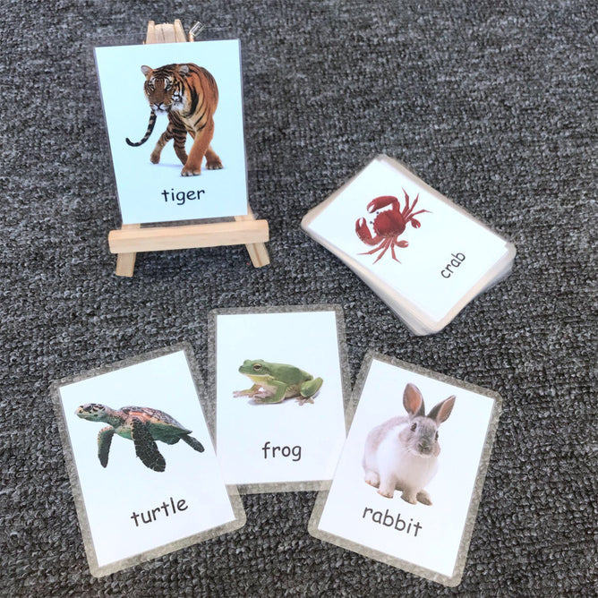 Laminated Pocket Flashcards Baby Learning English Word for Children Educational Toys