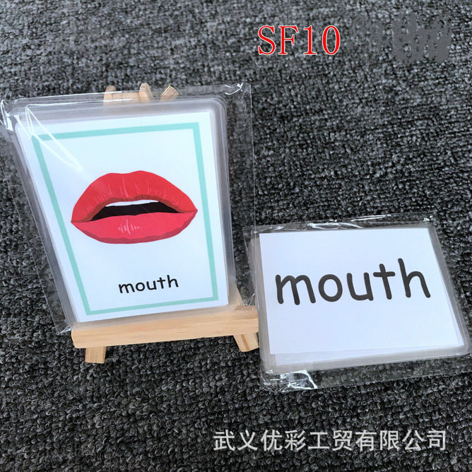 Laminated Pocket Flashcards Baby Learning English Word for Children Educational Toys