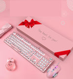 104-Key Blue Switch Pink Wired Mechanical Gaming Keyboard and Mouse Combo With LED Backlit Laptop Keyboard