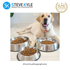 16cm Stainless Steel Dog Bowl Feeding with Anti-Slip Coil for Pets